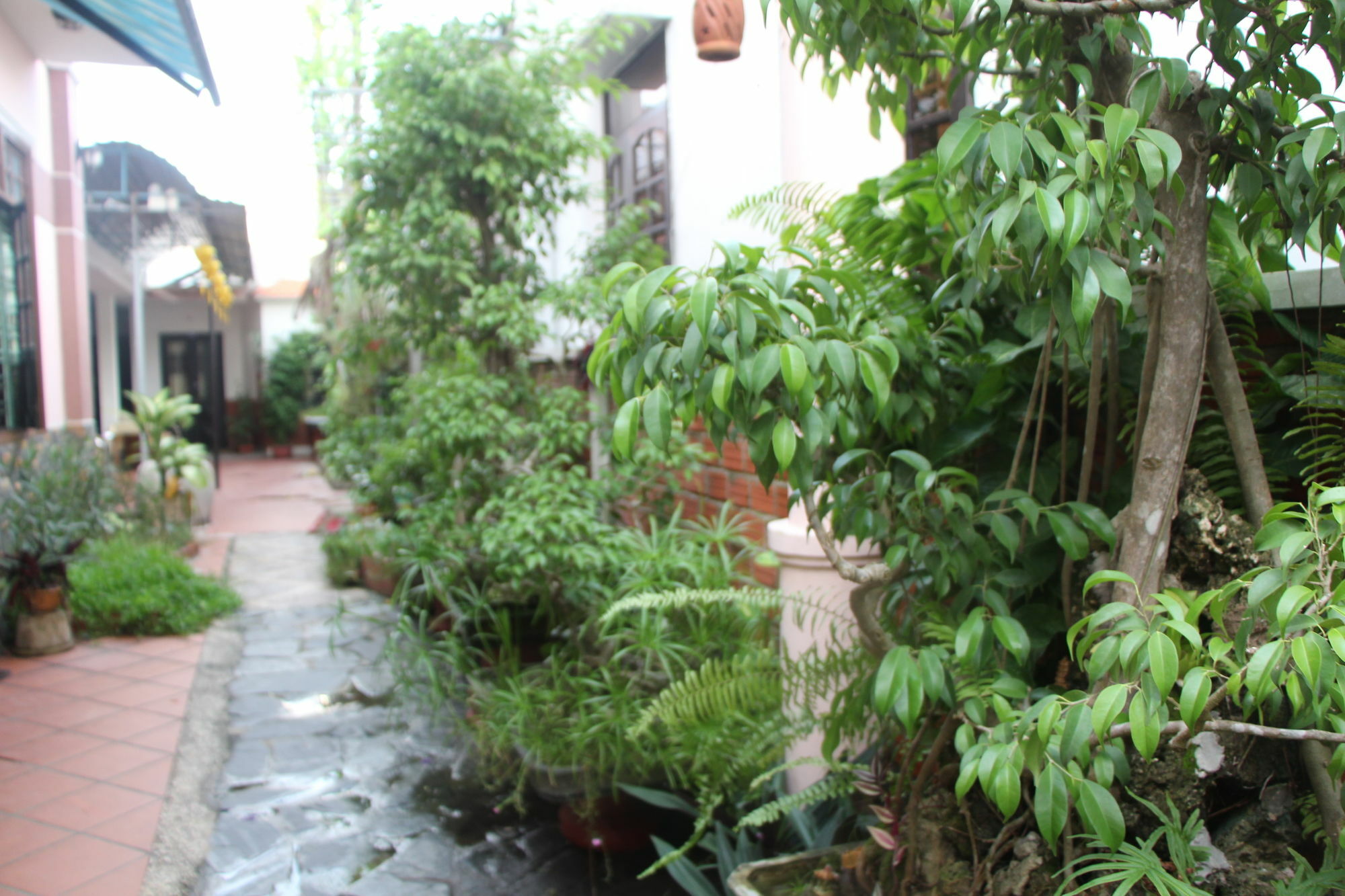 Red Ceramics Homestay Hoi An Exterior foto